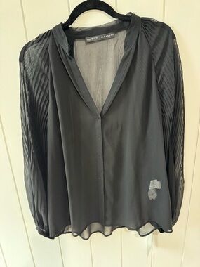 Zara Black Pleated-Sleeve Sheer V-Neck Blouse